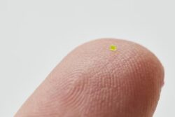 Remember The Microscopic Louis Vuitton Handbag? It Was Sold For Rs 51 Lakh