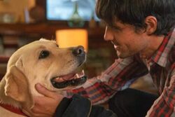 This Man And His Beloved Labrador Were Diagnosed With Kidney Cancer Just Months Apart