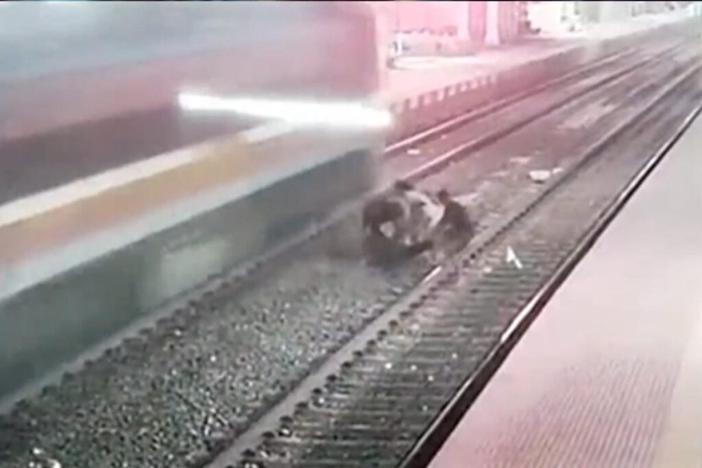 RPF Constable Averts Major Accident On Train Track, Jumps To Save Man's Life