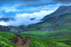 Darjeeling To Agra: Best Places To Visit During Your Kids’ Summer Vacation