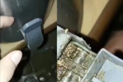 Watch: Worms Inside Tea Container At Karnataka Hostel Leave Internet Puking