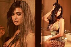 Sexy! Shweta Tiwari Sizzles As She Takes a Shower, Flaunts Her Curves In Latest Photos