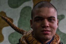 Snakes as Therapy Animals: Reptiles Help Heal in Brazil
