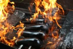 Woman Asks Sister to Roast Brinjal, What She Did Next Will Leave You ROFL