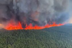Canada Wildfires: Out-of-control Blaze Intensify in Alberta, Could Last 'All Summer'