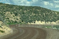 Creepy-Crawly Crickets Swarm Small Town in US State of Nevada
