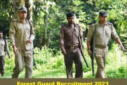 Maharashtra Forest Guard Recruitment 2023: Dates To Qualification, All You Need To Know