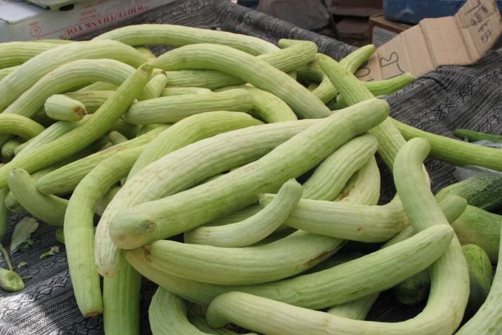 Reducing Sunburn To Blackheads, Benefits Of Snake Cucumbers