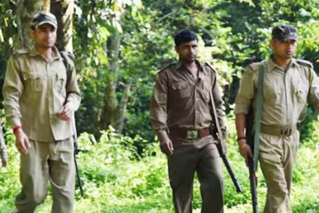 Maharashtra Forest Guard Recruitment 2023: Eligibility, Application Fees, Education Qualification