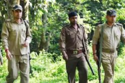 Maharashtra Forest Guard Recruitment 2023: Eligibility, Application Fees, Education Qualification