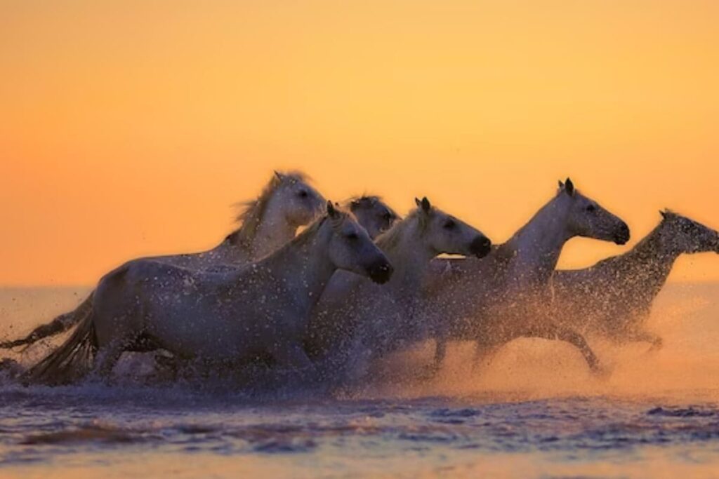 Earn Rs 1.2 Lakh Per Day For Horsehair Braiding, Check Other Odd But High-paying Jobs