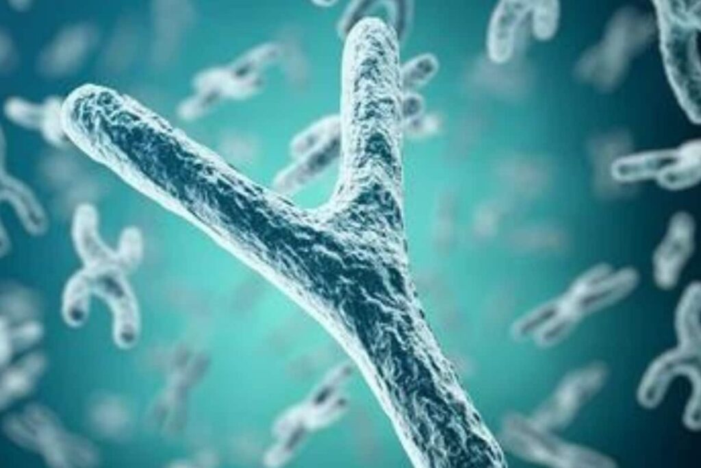 Y Chromosome Loss in Men Due To Age Is Being Linked With Worse Cancer Outcomes