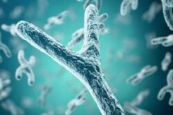 Y Chromosome Loss in Men Due To Age Is Being Linked With Worse Cancer Outcomes
