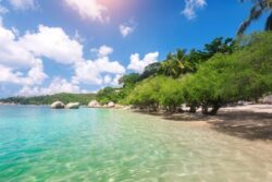 From Night Markets To Temples In Bangkok, 5 Things You Must Not Miss While In Thailand