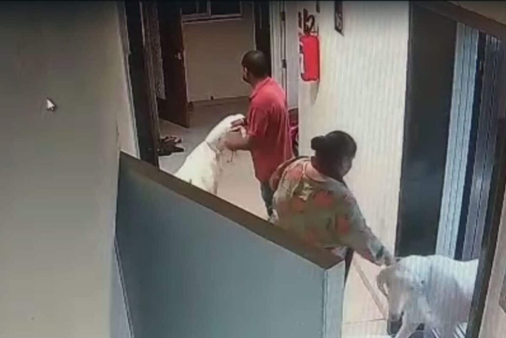 Mumbai: Man Brings Goats Home for Sacrifice on Bakrid; Neighbours Recite Hanuman Chalisa to Protest