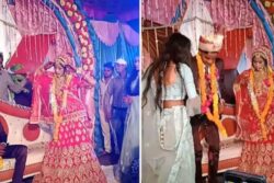 In Viral Video, Bride Dances On Stage But Groom Is Too Lost To Watch The Performance