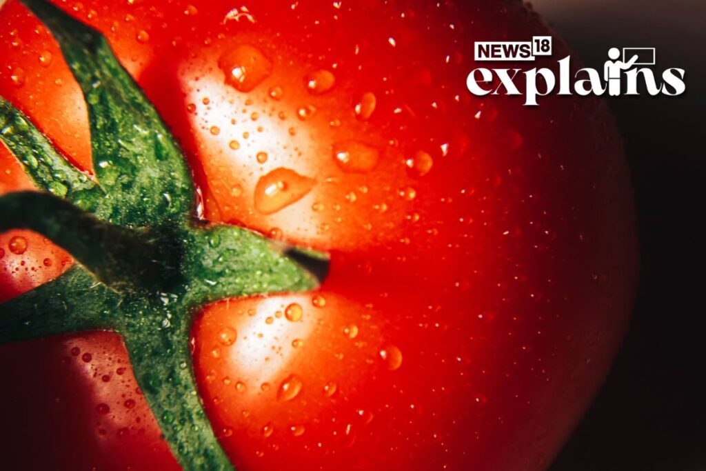 Tomato Price Hike: Why Do Vegetable Prices Rise Amid Monsoons? Explained