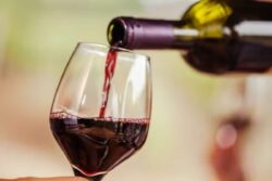 Liquor Sales Rise By 14% In FY 2022-23, Premium Alcohol Sales Increased By 48%