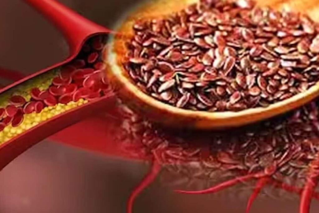 3 Seeds Which Play A Key Role In Dieting