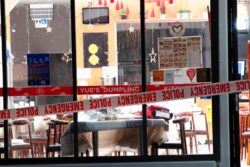 Axe-Wielding Man Attacks Diners at Chinese Restaurants in New Zealand, Four Wounded