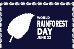 World Rainforest Day 2023: Conserve, Restore, Regenerate for a Thriving Future