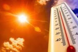 July 2023 Is Set To Be The Hottest Month On Record According To Scientists Say