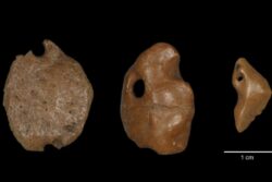 Pendants Made From Giant Sloths Suggest Earlier Arrival of People in the Americas