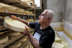 Alps to Atlas: Swiss-inspired Cheese Comes to Algeria Mountains