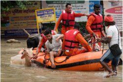 Delhi-Noida Floods: NDRF Rescues Cows, Dogs and a Bull Worth Rs 1 Crore