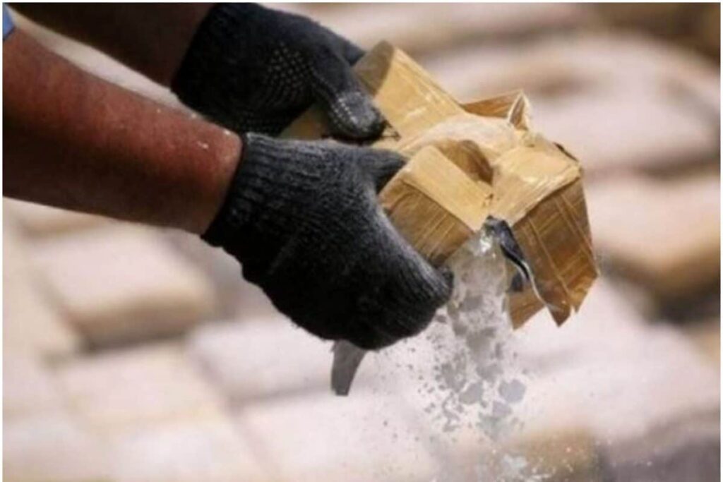 Over 6,700 Kg of Seized Narcotics Destroyed in J&K's Samba