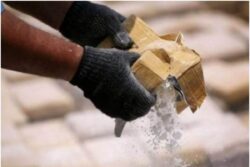 Over 6,700 Kg of Seized Narcotics Destroyed in J&K's Samba