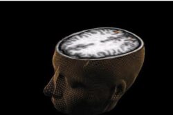 Memories Helping Us Understand World Get Stored Long-term, New Research Proposes