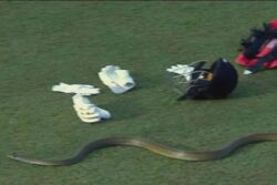 'Snake Stops Play': LPL T20 Match Between Galle Gladiators and Dambulla Giants Paused as Serpent Makes Way Onto Field