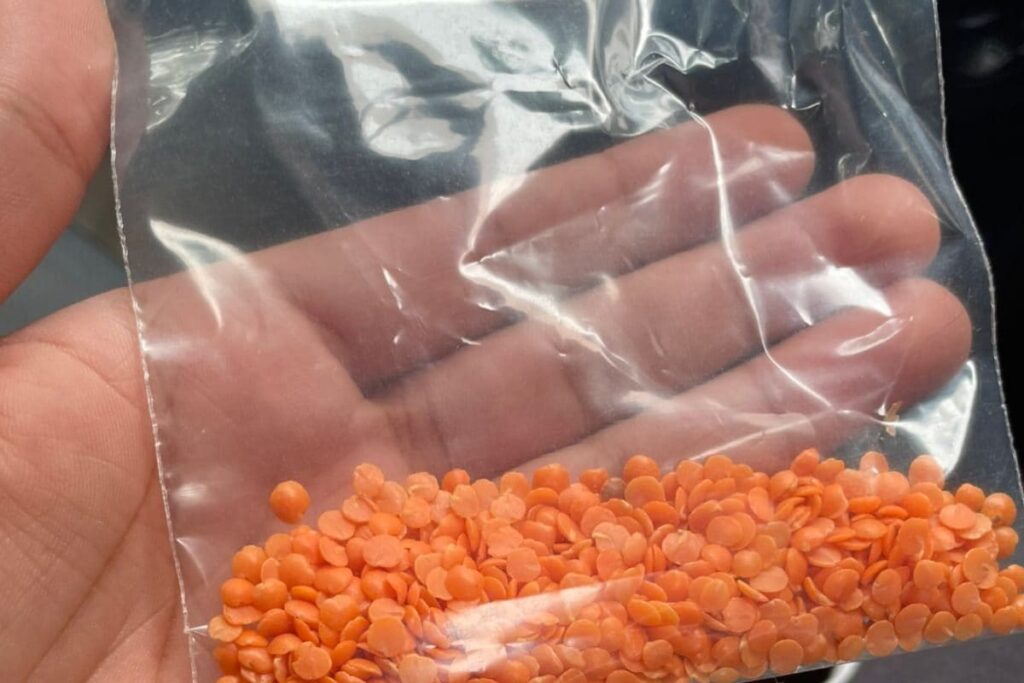 Mom Giving 'Daal Sample' to Son Going Grocery Shopping is Such a Mom Move and Twitter Agrees