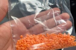 Mom Giving 'Daal Sample' to Son Going Grocery Shopping is Such a Mom Move and Twitter Agrees