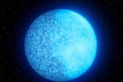Introducing Janus, the Exotic 'Two-faced' White Dwarf Star