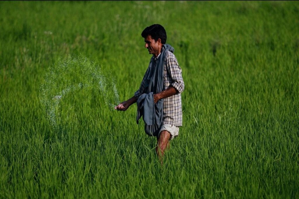 Direct Benefit Transfer Sees 700 Crore Transactions Last Fiscal, 88% Jump in Payouts Over 3 Years