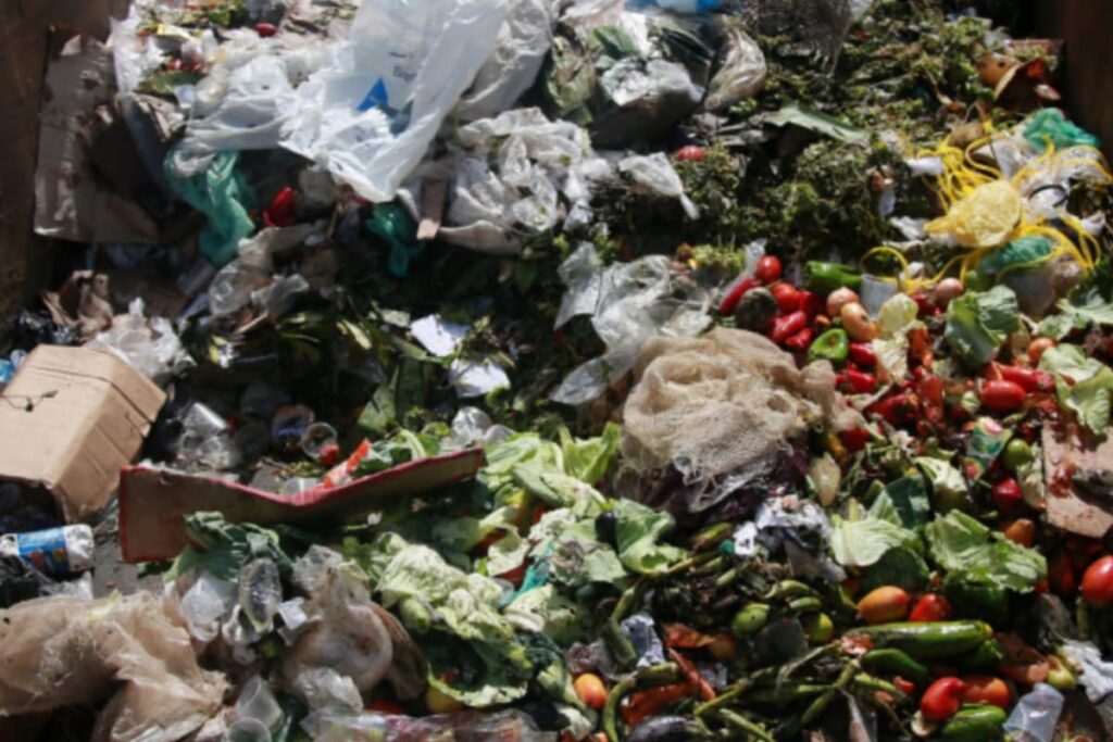 1 Held Over Sack Containing Meat Waste Found Near Temple in UP's Shahjahanpur: Police