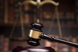 Executive’s Independence Almost Non-Existent, Merely Follows What Party in Power Dictates: Madras HC