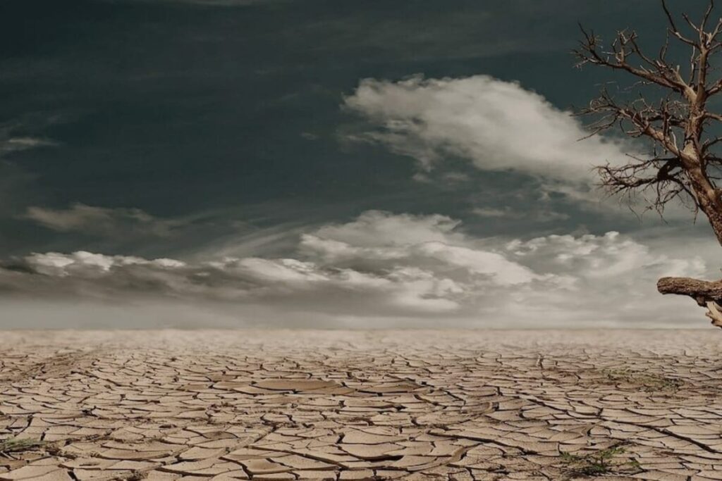 'Climate Change is Here, It is Terrifying': UN Chief Warns Earth in 'Era of Global Boiling'