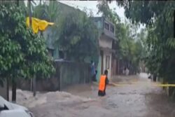 Maharashtra Rains: 45 People Stranded Due to Floods in Yavatmal; IAF, SDRF Begin Rescue Ops | WATCH