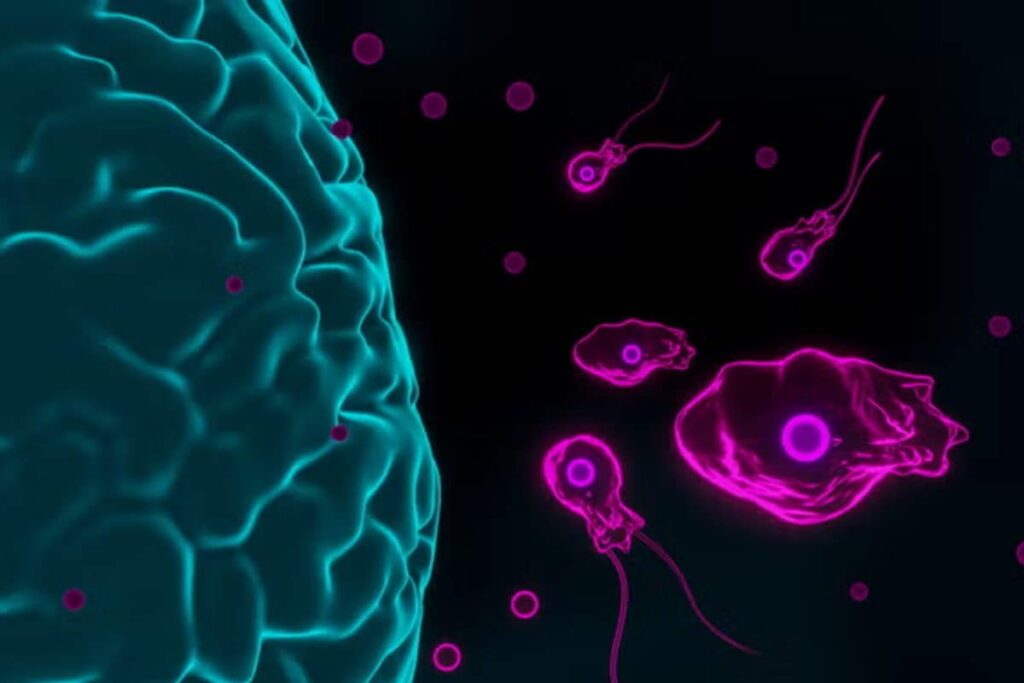 Brain Eating Amoeba Kills Teen in Kerala: Know the Symptoms, Treatment and Prevention