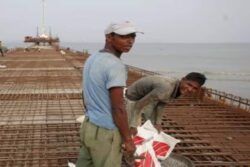 Rising Trend: Informal Workers Choose Career Potential Over Wages, Says Report