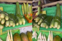 Internet's Favourite Minister Shows Nagaland's Contribution Towards Plastic-Free Environment