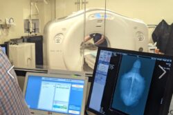 CT Scan, Eyes Covered With Towel: Turtle Becomes US Hospital's First Animal Patient