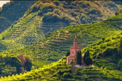 Prosecco No More? How Climate Change is a Threat to Mountain Vineyards