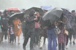 Orange Alert in Mumbai, Goa & Kerala Schools Shut, Deaths in Karnataka: How Rain Has Hit Normal Life