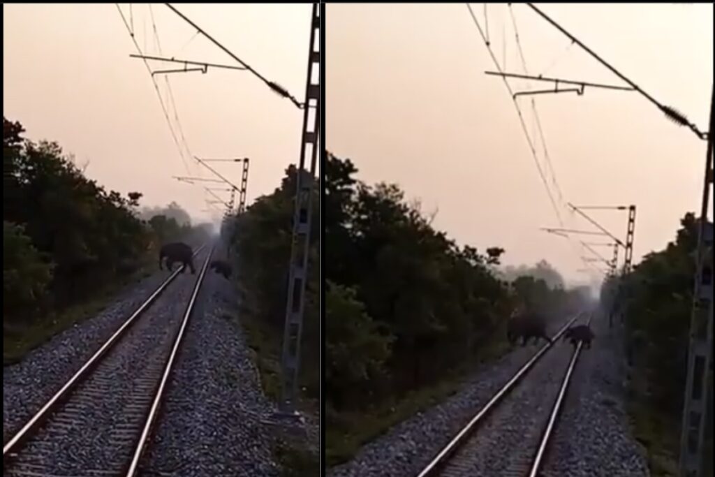 Maharashtra: Drum Filled with Stones Kept on Railway Track; Train Driver Applies Emergency Brakes