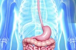 Healthy Digestive System To Reduced Risk Of Heart Diseases, Benefits Of Fibre-rich Foods