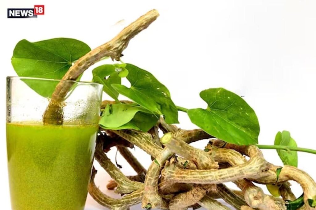 Controlling Cholesterol To Fighting Arthritis, 5 Health Benefits Of Giloy